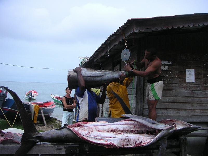 Martinique 10.JPG